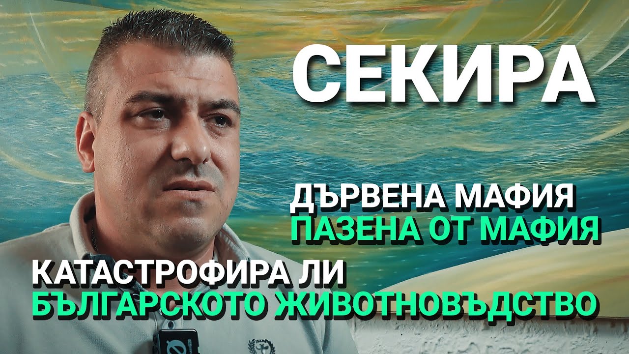 Секира (ЕП.11) – Дървена мафия пазена от мафия. Катастрофира ли българското животновъдство.
