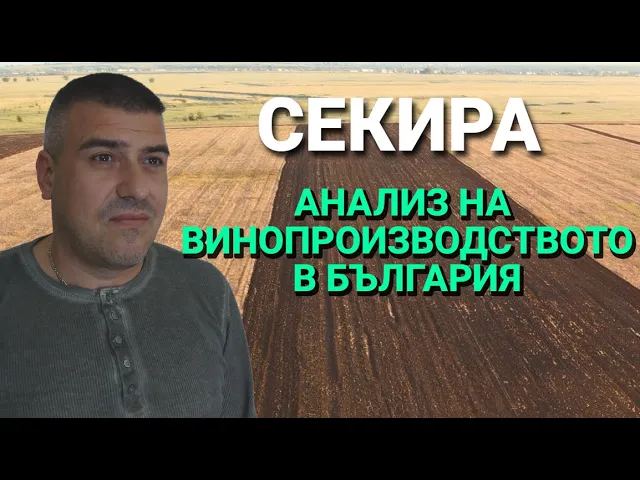 Секира (ЕП.25) – Анализ на винопроизводството в България